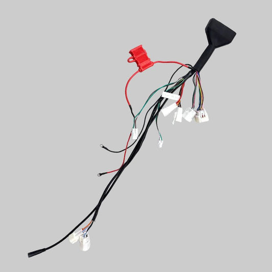EM5 Controller Wiring Harness (09 Standard Brake Model, Dual-Bead Lights, No Horn)