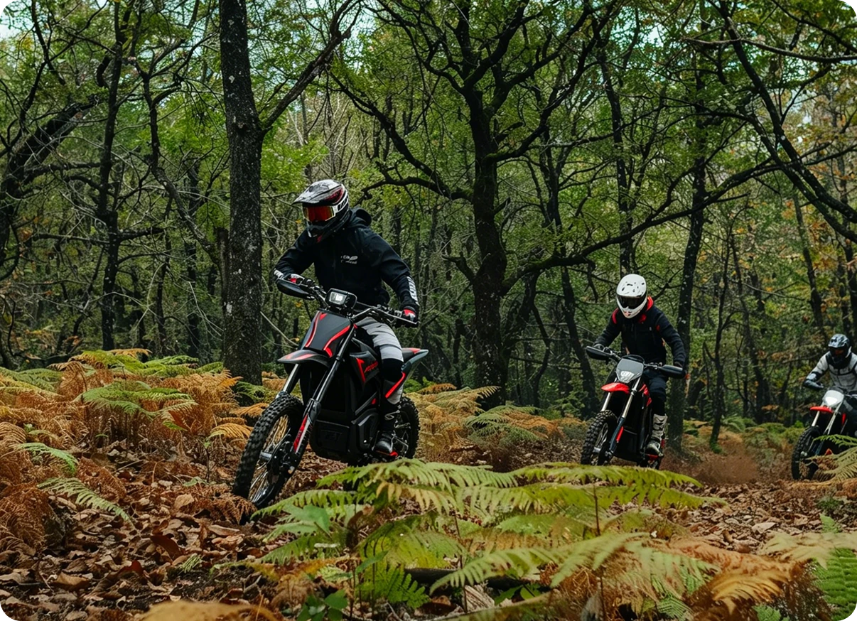 Forest Charge