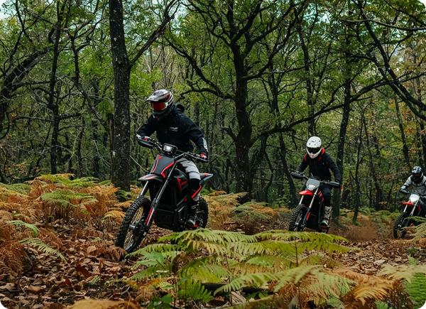 Forest Charge