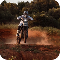 Forest Charge