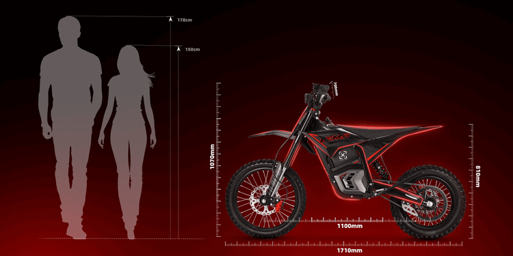 EM-5 Pro Electric Dirt Bike | 4800W, 226 N.M Torque, 53 Miles ...