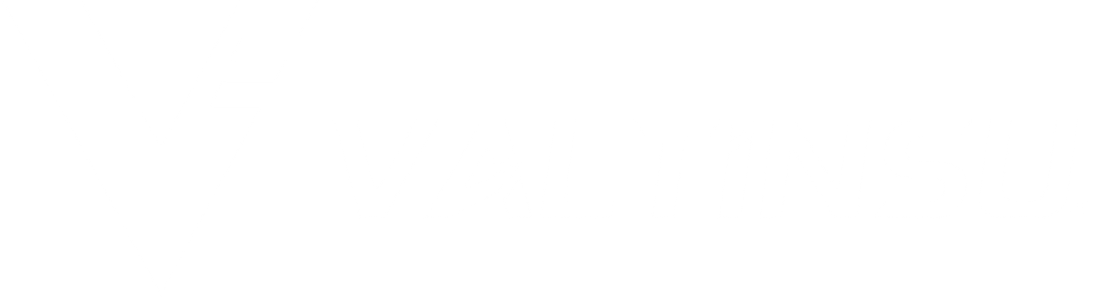 VALTINSU logo White 1