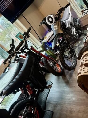 Electric Off-Road Adult Dirt Bike EM-5 with Light photo review